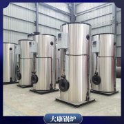 青海十五噸中壓鍋爐