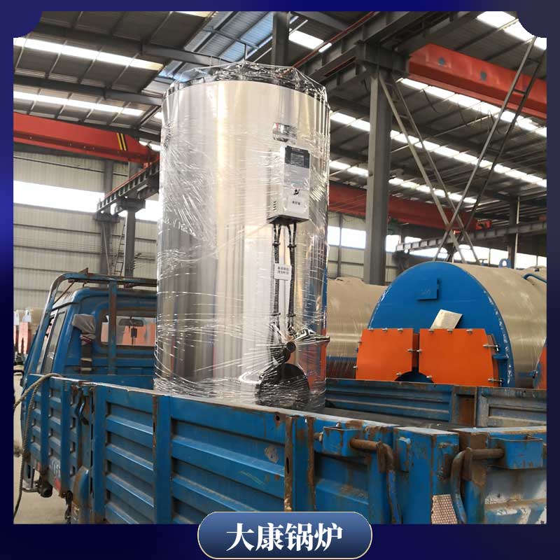 兩用兩噸生物質鍋爐