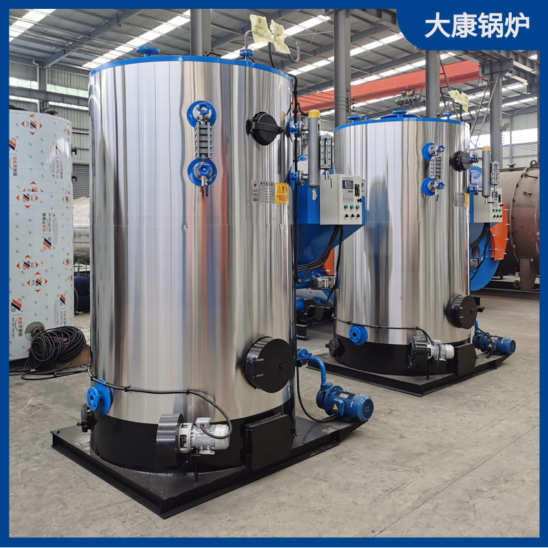 立式生物質(zhì)蒸汽鍋爐1