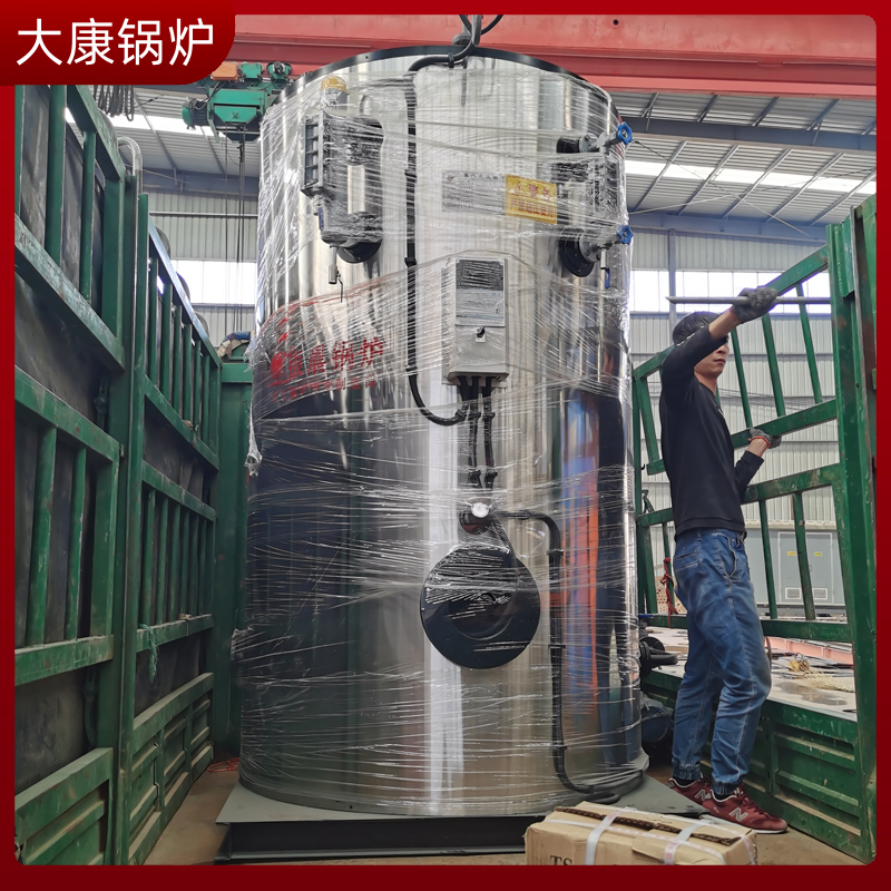 10蒸噸生物質(zhì)蒸汽鍋爐