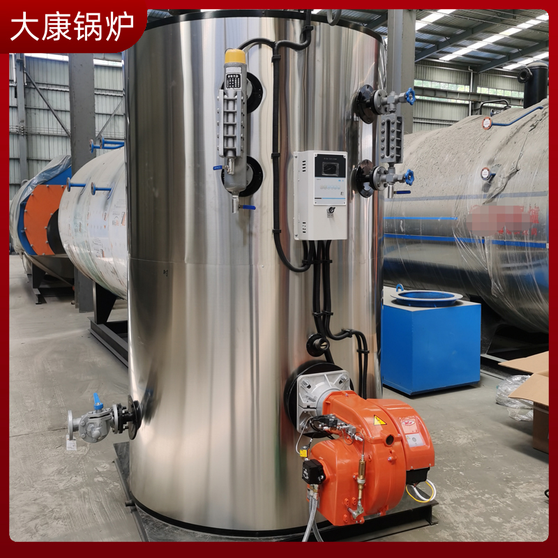 生物質(zhì)鍋爐導(dǎo)熱油爐