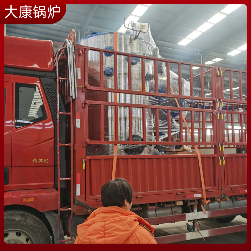 成型生物質(zhì)鍋爐