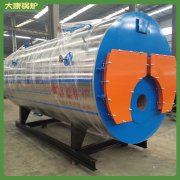 天津0.5mw蒸汽發(fā)生器