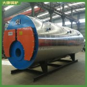 安徽20萬大卡高壓鍋爐