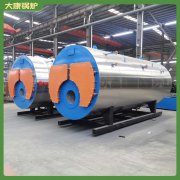 內(nèi)蒙古30萬大卡冷凝導(dǎo)油爐