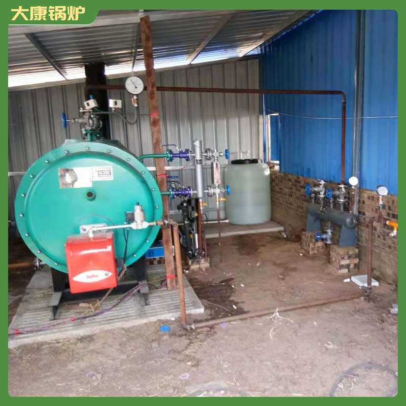 燃?xì)鈱?dǎo)熱鍋爐