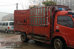 清明放假，貫流鍋爐發(fā)貨