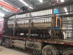 6噸燃?xì)庹羝仩t