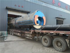 2臺(tái)6噸燃?xì)庹羝仩t